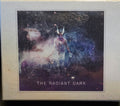 The Drowning – The Radiant Dark